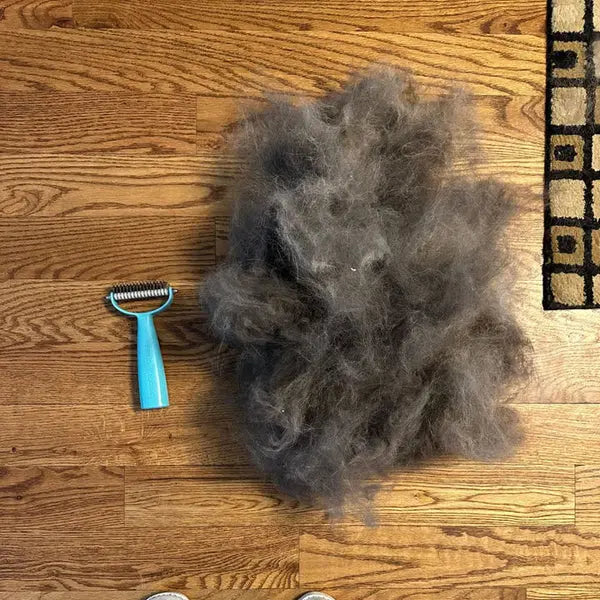 Brosse Pro™ — Chats & Chiens