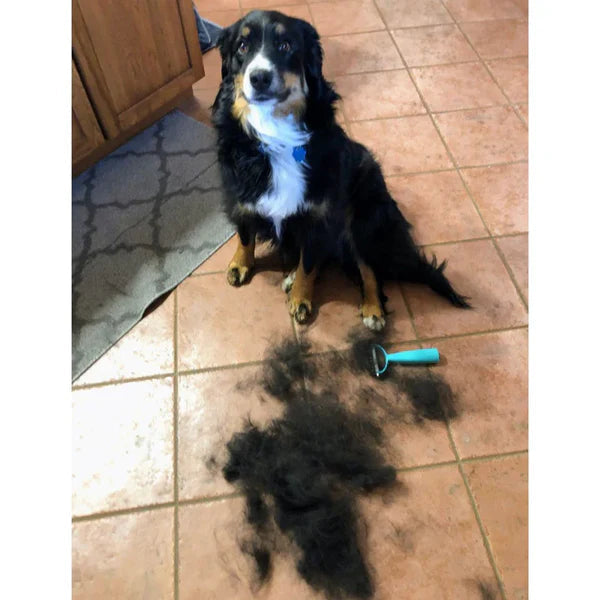 Brosse Pro™ — Chats & Chiens