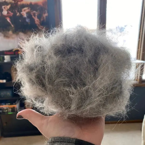 Brosse Pro™ — Chats & Chiens