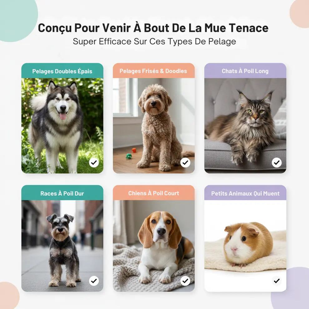 Brosse Pro™ — Chats & Chiens