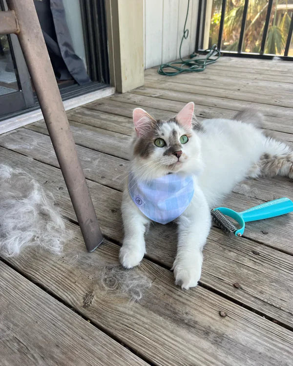 Brosse Pro™ — Chats & Chiens